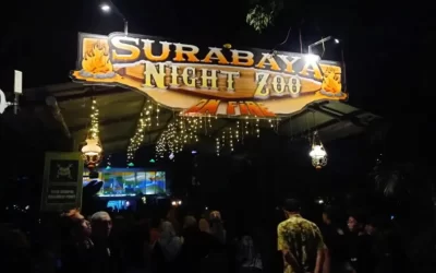 Surabaya Night Zoo: Destinasi Wisata Malam yang Wajib Dikunjungi di Surabaya!