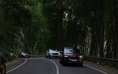 Menjelajahi Keindahan Alam dengan Tips Berkendara di Jalanan Pegunungan