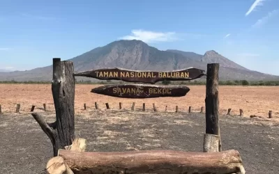 Keindahan Wisata Alam Taman Nasional Baluran