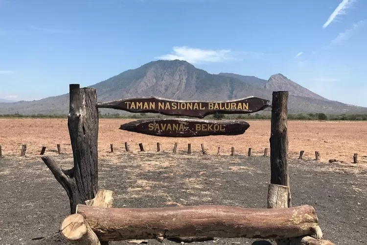 Keindahan Wisata Alam Taman Nasional Baluran