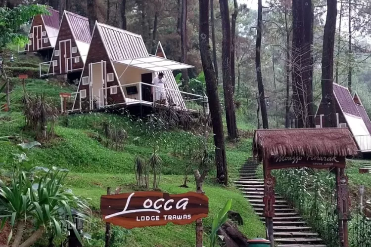 locca lodge trawas