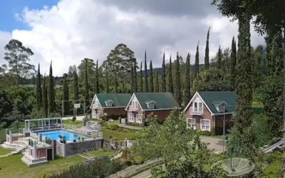 Wisata Omah Kembang Merbabu